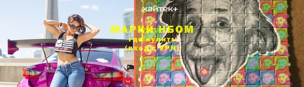 крисы Горняк
