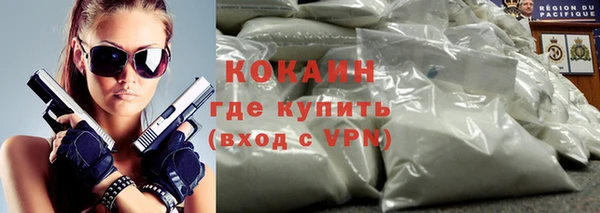 крисы Горняк