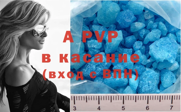 дмт Вяземский