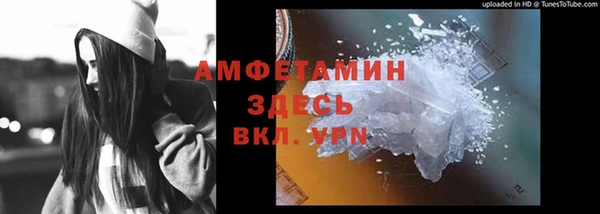 крисы Горняк