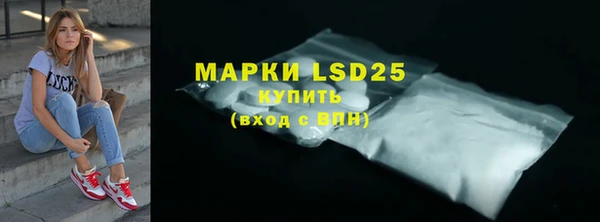 крисы Горняк