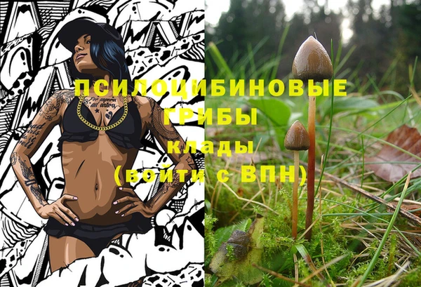 круглые Горно-Алтайск
