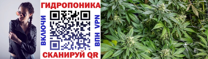 Бошки Шишки LSD WEED  купить   Печоры 